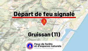 Incendie à Gruissan (11) : le feu est éteint