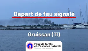 Incendie à Gruissan (11) : le feu est éteint