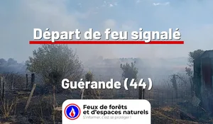Guérande (44)