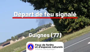 Incendie à Guignes (77) : le feu est éteint