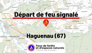 Haguenau (67)