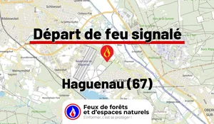 Haguenau (67)