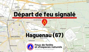 Haguenau (67)