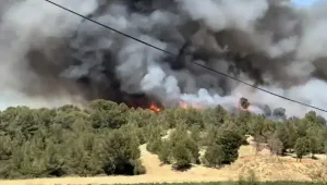 Incendie à Incendie à Bizanet dans l'Aude : un brasero transporté sur une remorque en cause, un suspect interpellé : le feu est éteint
