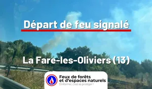 Incendie à La Fare-les-Oliviers (13) : le feu est éteint