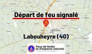 Labouheyre (40)