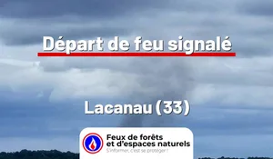 Incendie à Lacanau (33) : le feu est éteint