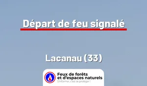 Incendie à Lacanau (33) : le feu est éteint