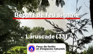Incendie à Laruscade (33) : le feu est éteint
