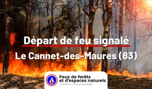 Incendie à Le Cannet-des-Maures (83) : le feu est éteint