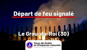 Incendie à Le Grau-du-Roi (30) : le feu est éteint