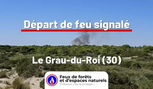 Incendie à Le Grau-du-Roi (30) : le feu est éteint