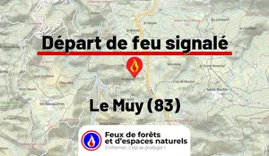 Incendie à Le Muy (83) : le feu est éteint