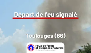 Incendie à Toulouges (66) : le feu est éteint