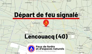 Incendie à Lencouacq (40) : le feu est éteint