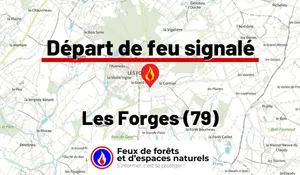 Les Forges (79)