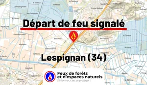 Incendie à Lespignan (34) : le feu est éteint