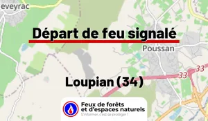 Incendie à Loupian (34) : le feu est éteint