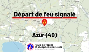 Incendie à Azur (40) : le feu est éteint