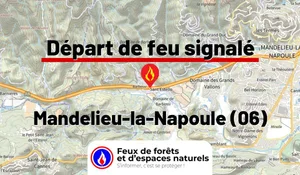 Incendie à Mandelieu-la-Napoule (06) : le feu est éteint