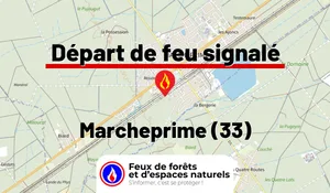 Incendie à Marcheprime (33) : le feu est éteint