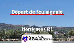 Incendie à Martigues (13) : le feu est éteint
