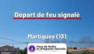 Incendie à Martigues (13) : le feu est éteint
