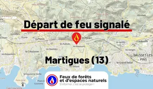 Incendie à Martigues (13) : le feu est éteint