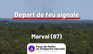 Marval (87)