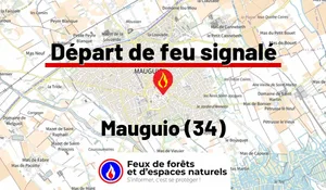 Incendie à Mauguio (34) : le feu est éteint