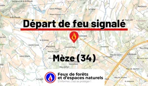Incendie à Mèze (34) : le feu est éteint