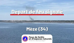Incendie à Mèze (34) : le feu est éteint