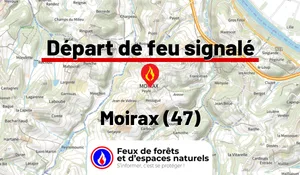Moirax (47)