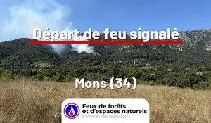 Incendie à Mons (34) : le feu est éteint