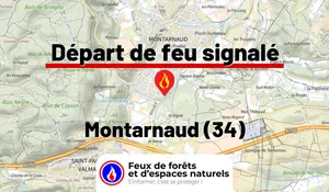 Incendie à Montarnaud (34) : le feu est éteint