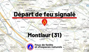 Montlaur (31)