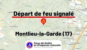 Incendie à Montlieu-la-Garde (17) : le feu est éteint