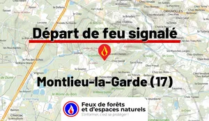 Montlieu-la-Garde (17)