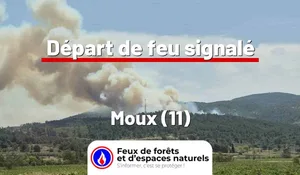Incendie à Moux (11) : le feu est éteint