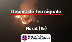 Murat (15)