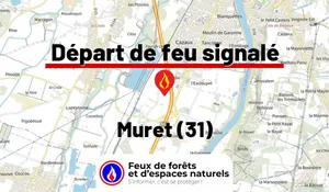 Muret (31)