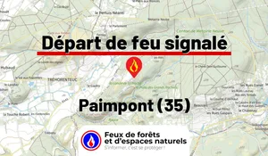 Paimpont (35)