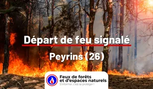 Incendie à Peyrins (26) : le feu est éteint