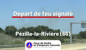 Incendie à Pézilla-la-Rivière (66) : le feu est éteint