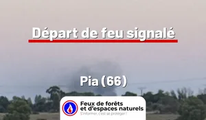 Incendie à Pia (66) : le feu est éteint
