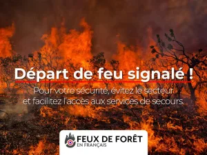 Incendie à Plan-de-Cuques (13) : le feu est éteint