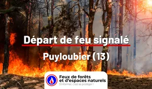 Incendie à Puyloubier (13) : le feu est éteint