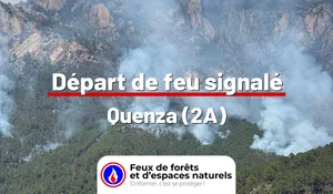 Incendie à Quenza (2A) : le feu est éteint
