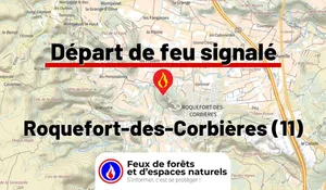 Incendie à Roquefort-des-Corbières (11) : le feu est éteint
