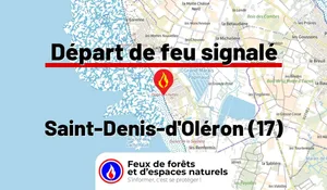 Incendie à Saint-Denis-d'Oléron (17) : le feu est éteint
